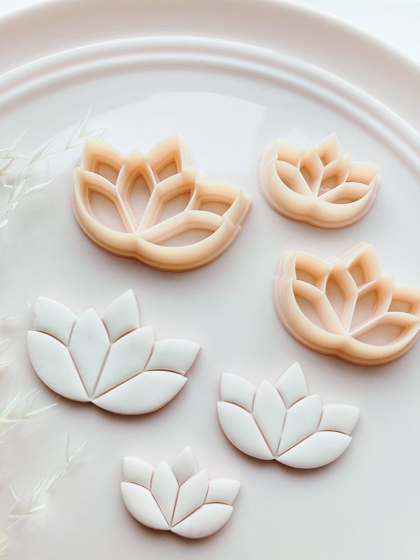 Lotus Leaf Geometry