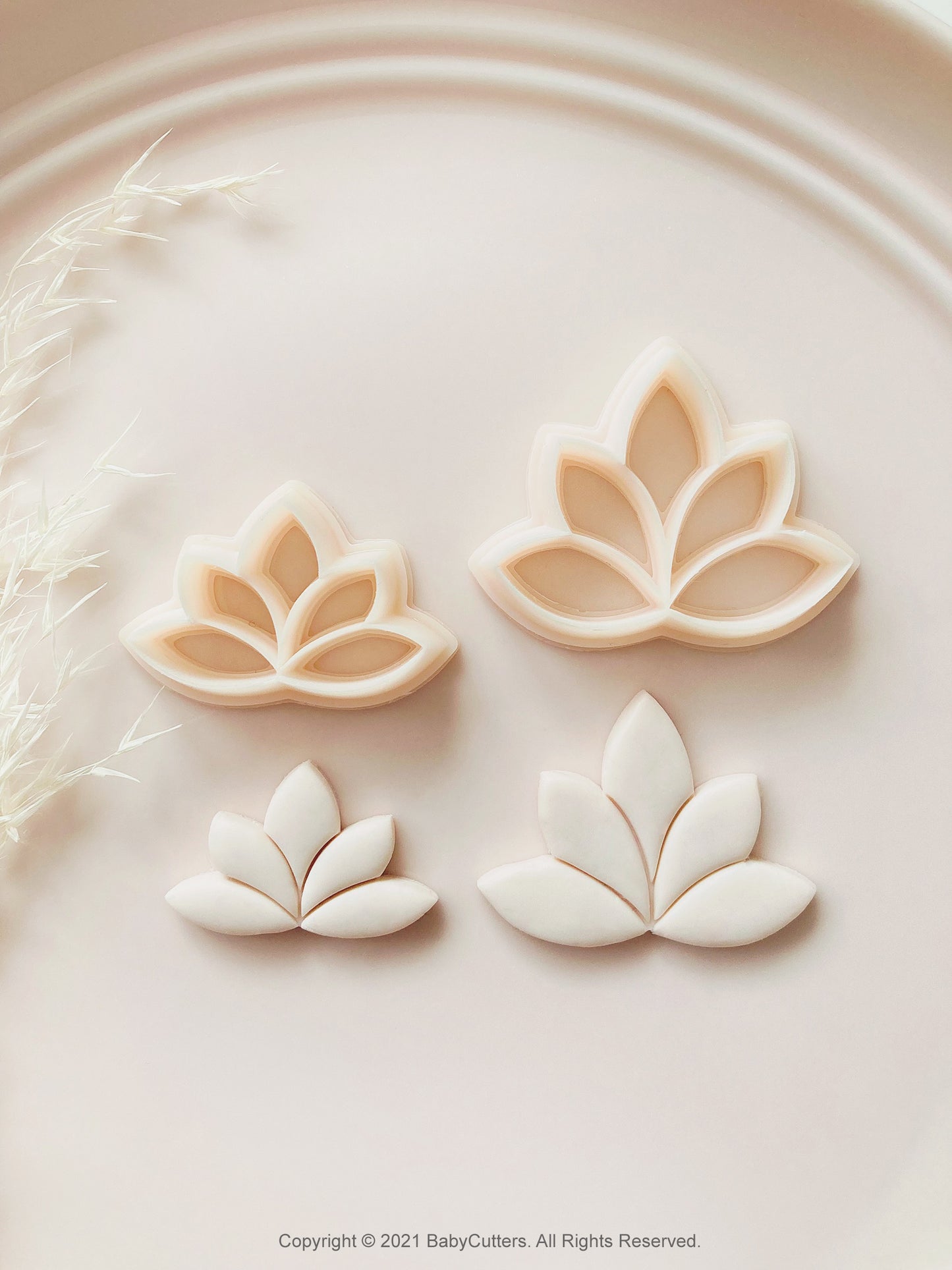 Lotus Leaf Shape
