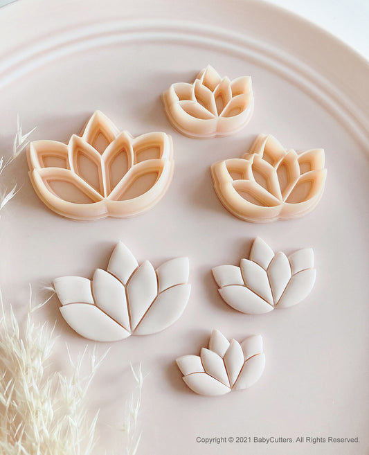 Lotus Leaf Geometry