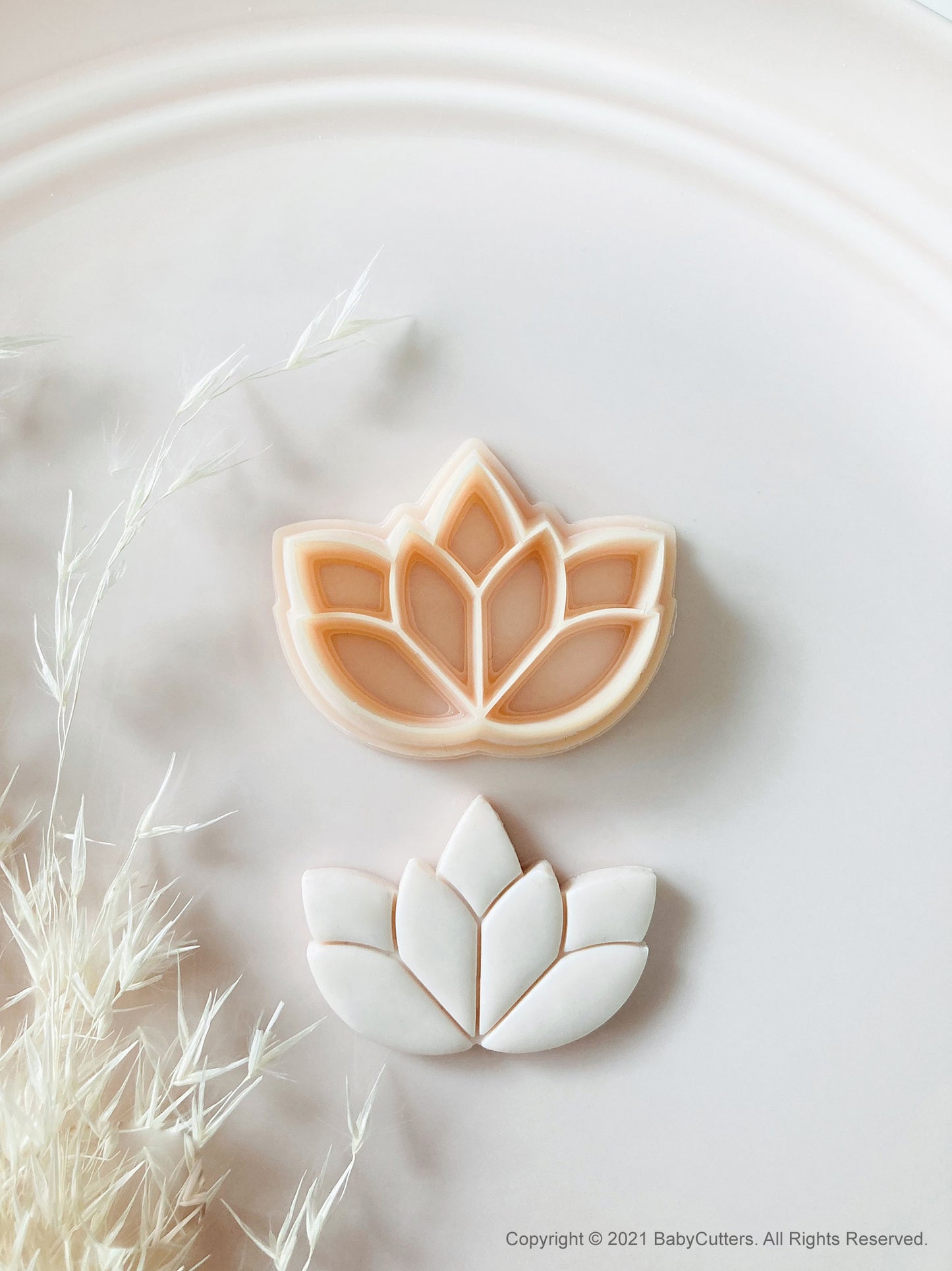 Lotus Leaf Geometry