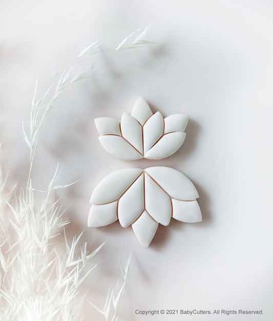 Lotus Leaf Geometry