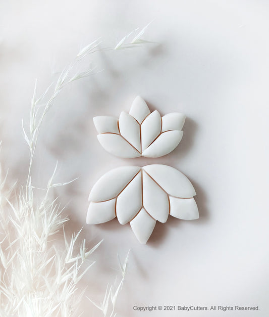 Lotus Leaf Geometry