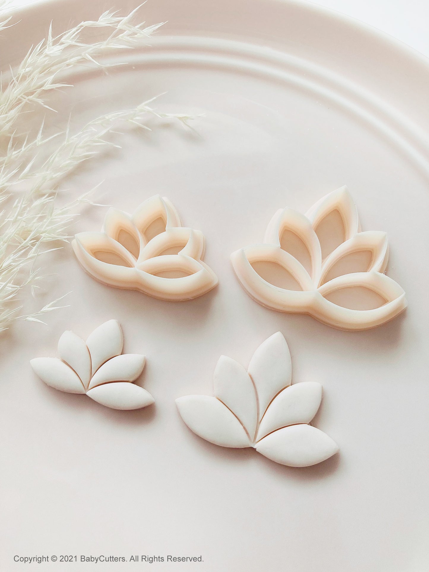 Lotus Leaf Shape