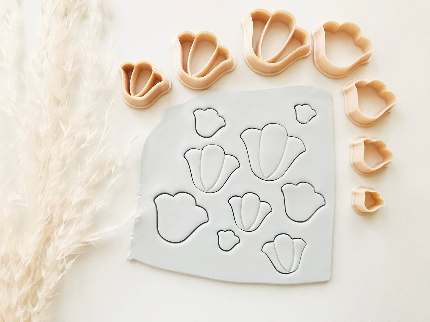 Tulip Flower Shape