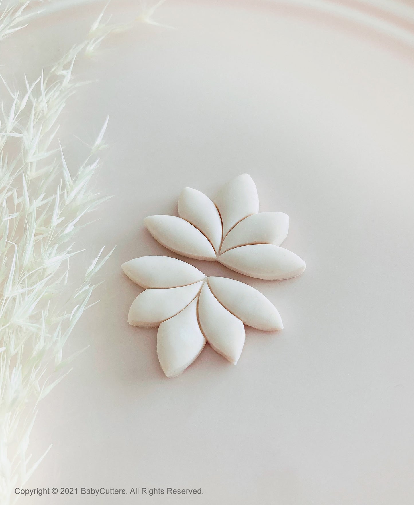 Lotus Leaf Shape