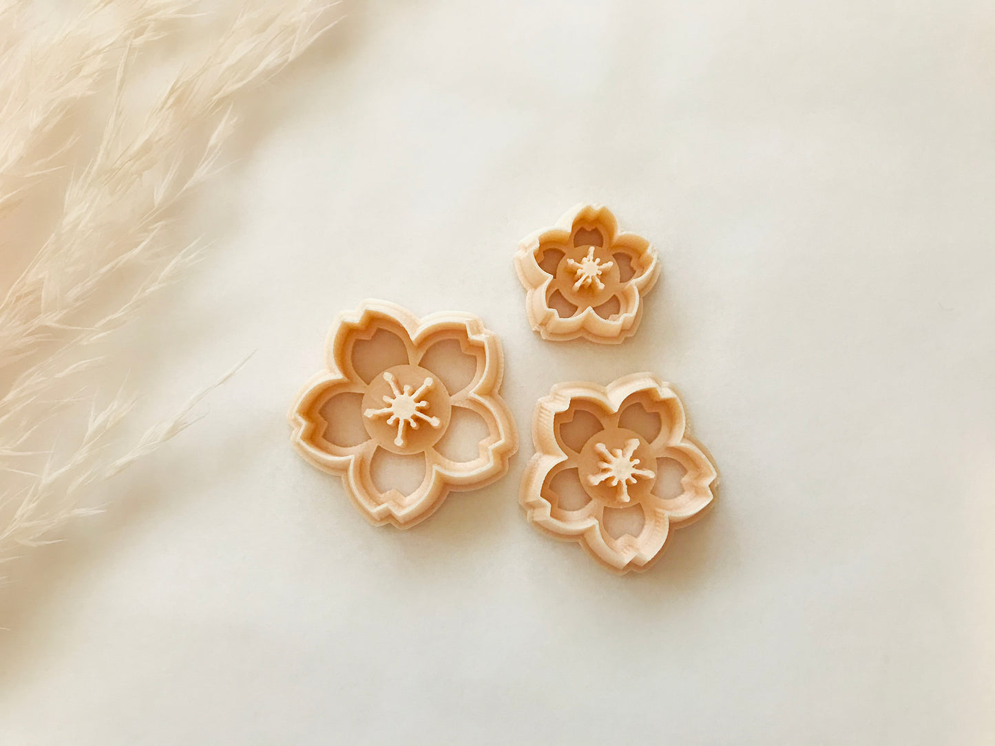 Cherry Blossom