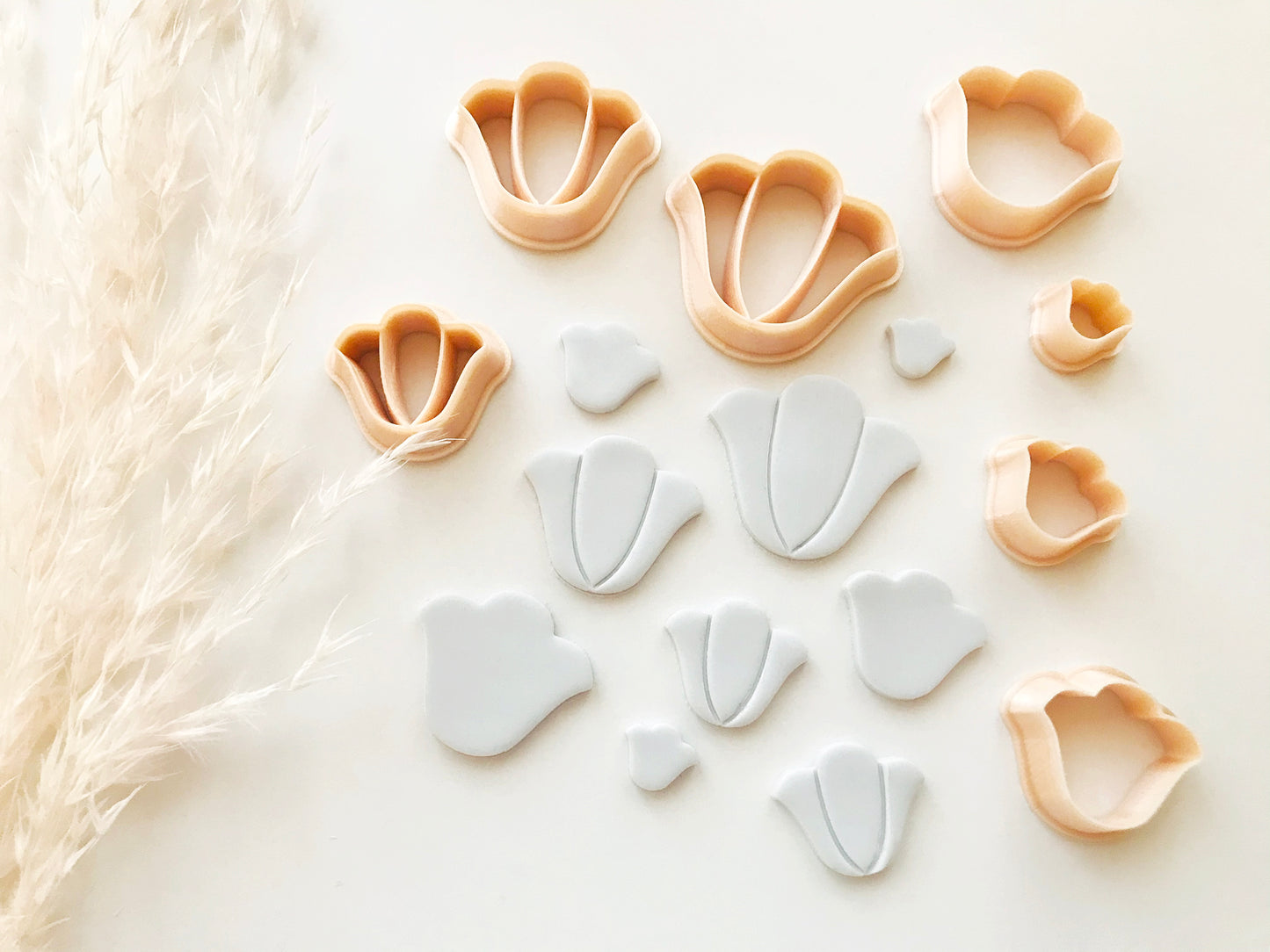 Tulip Flower Shape