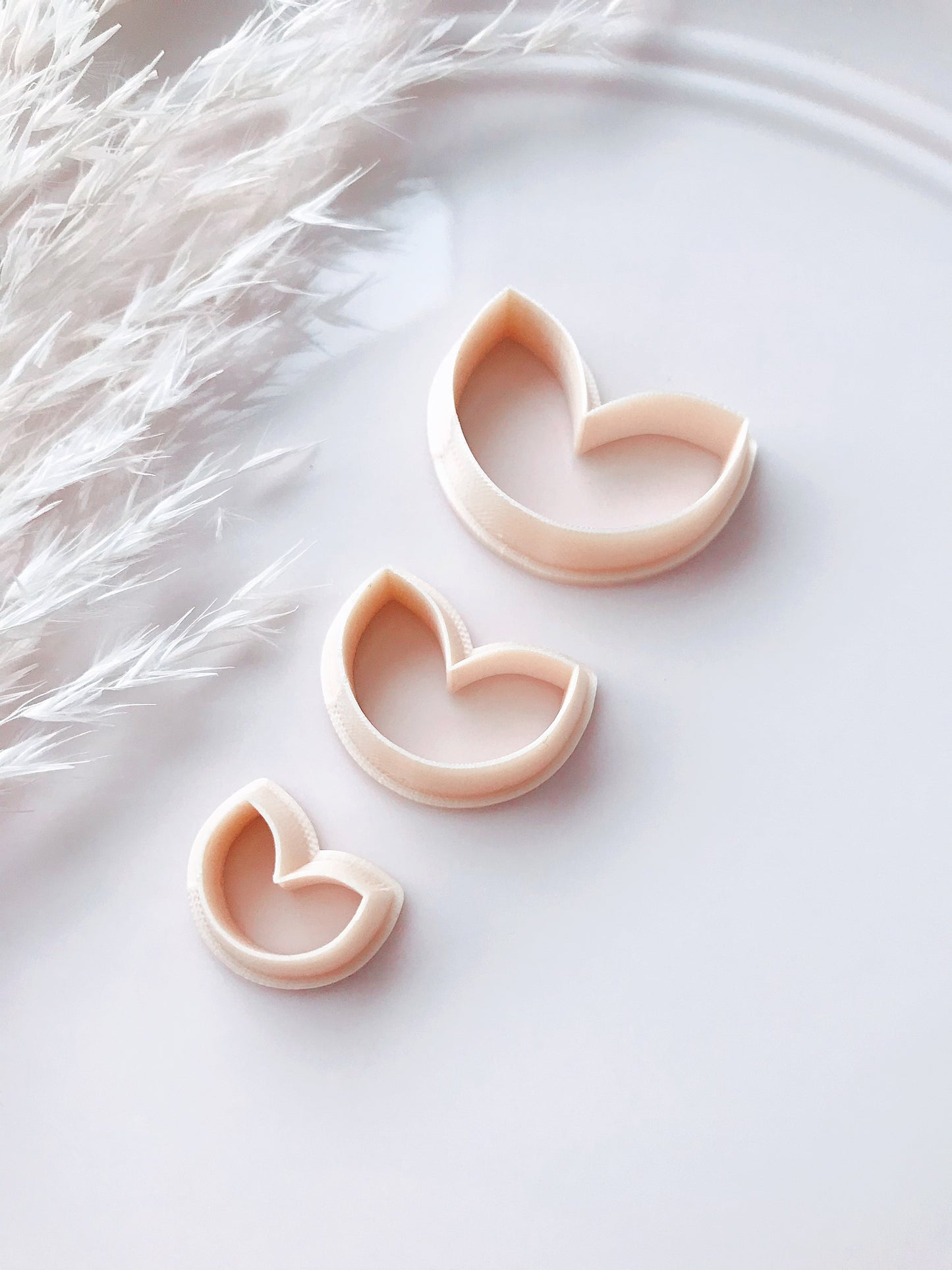Abstract Flower Petal