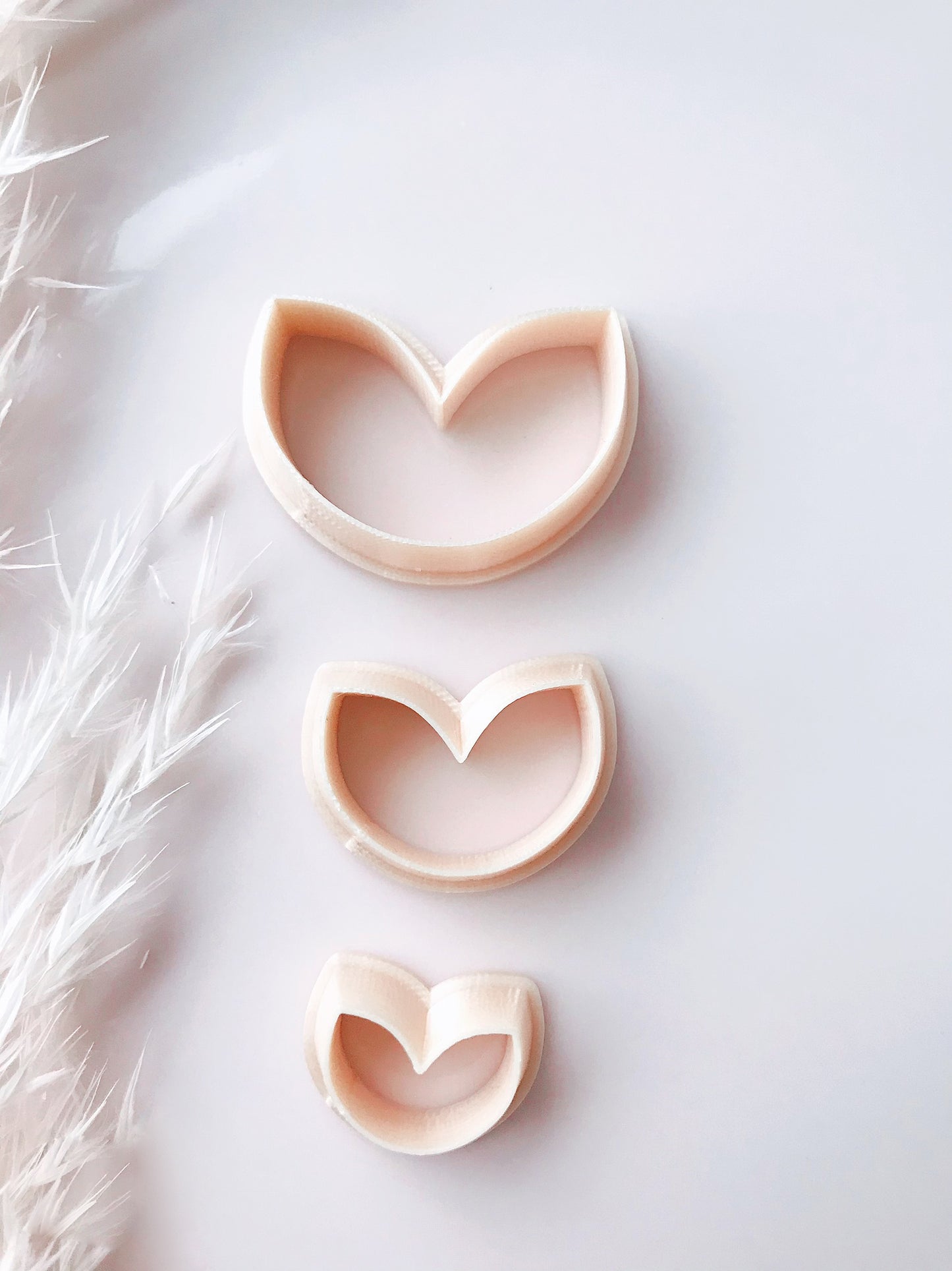 Abstract Flower Petal