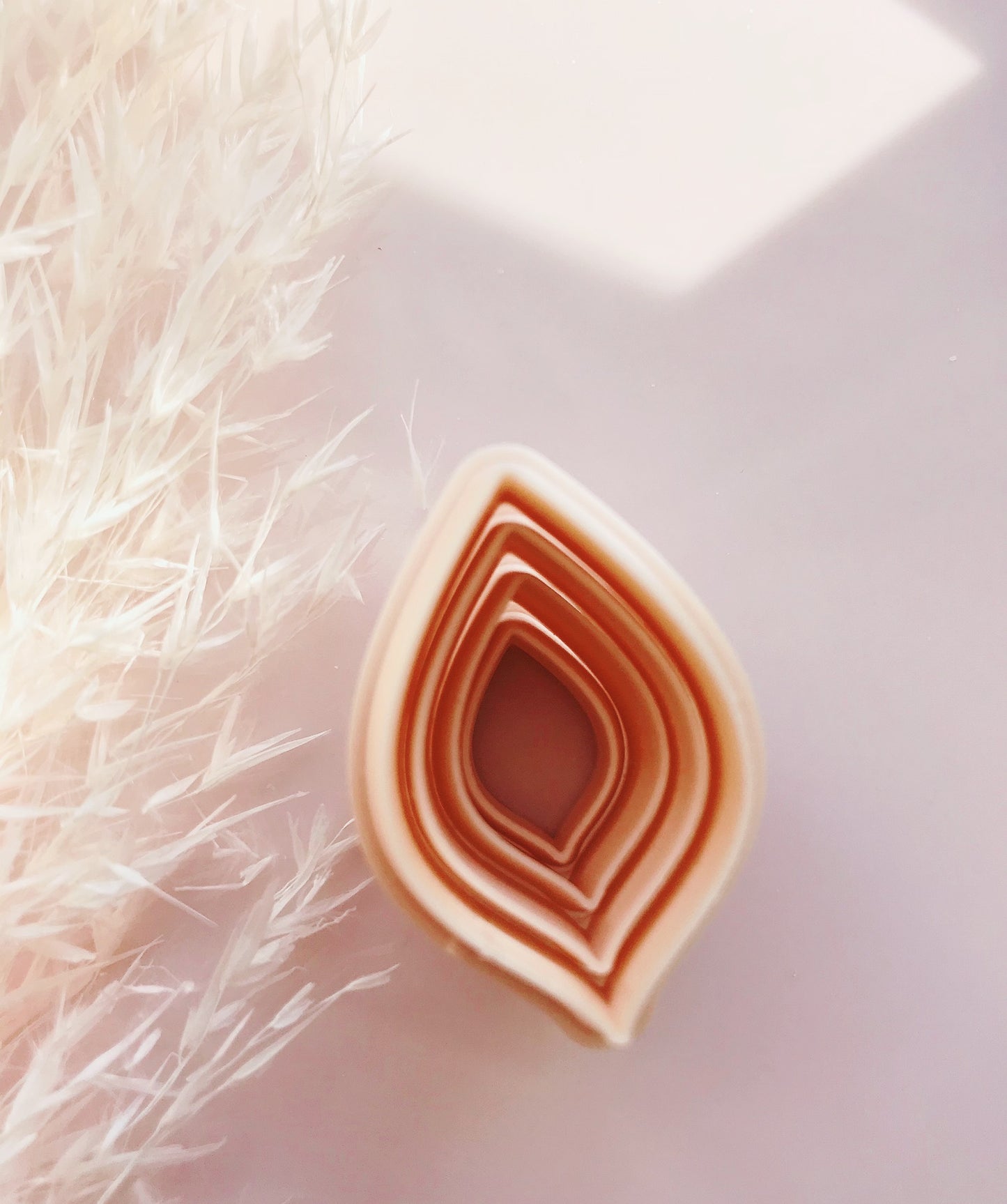 Natural Petal Leaf Flower