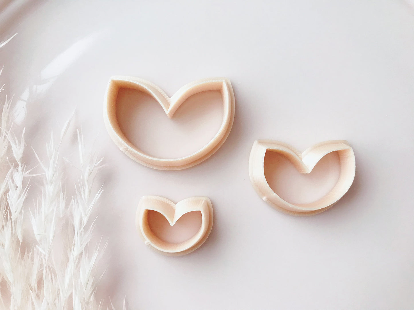 Abstract Flower Petal