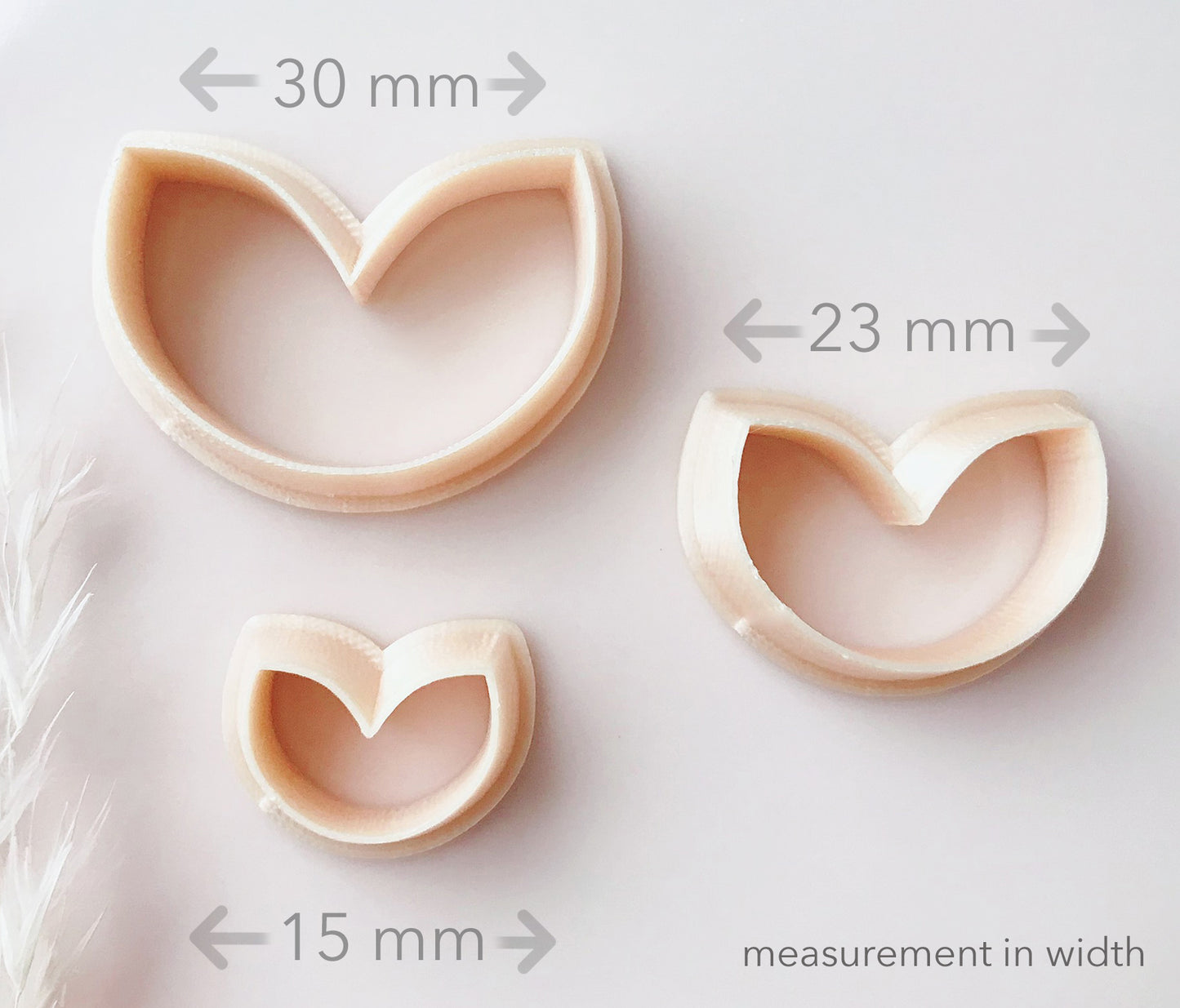 Abstract Flower Petal